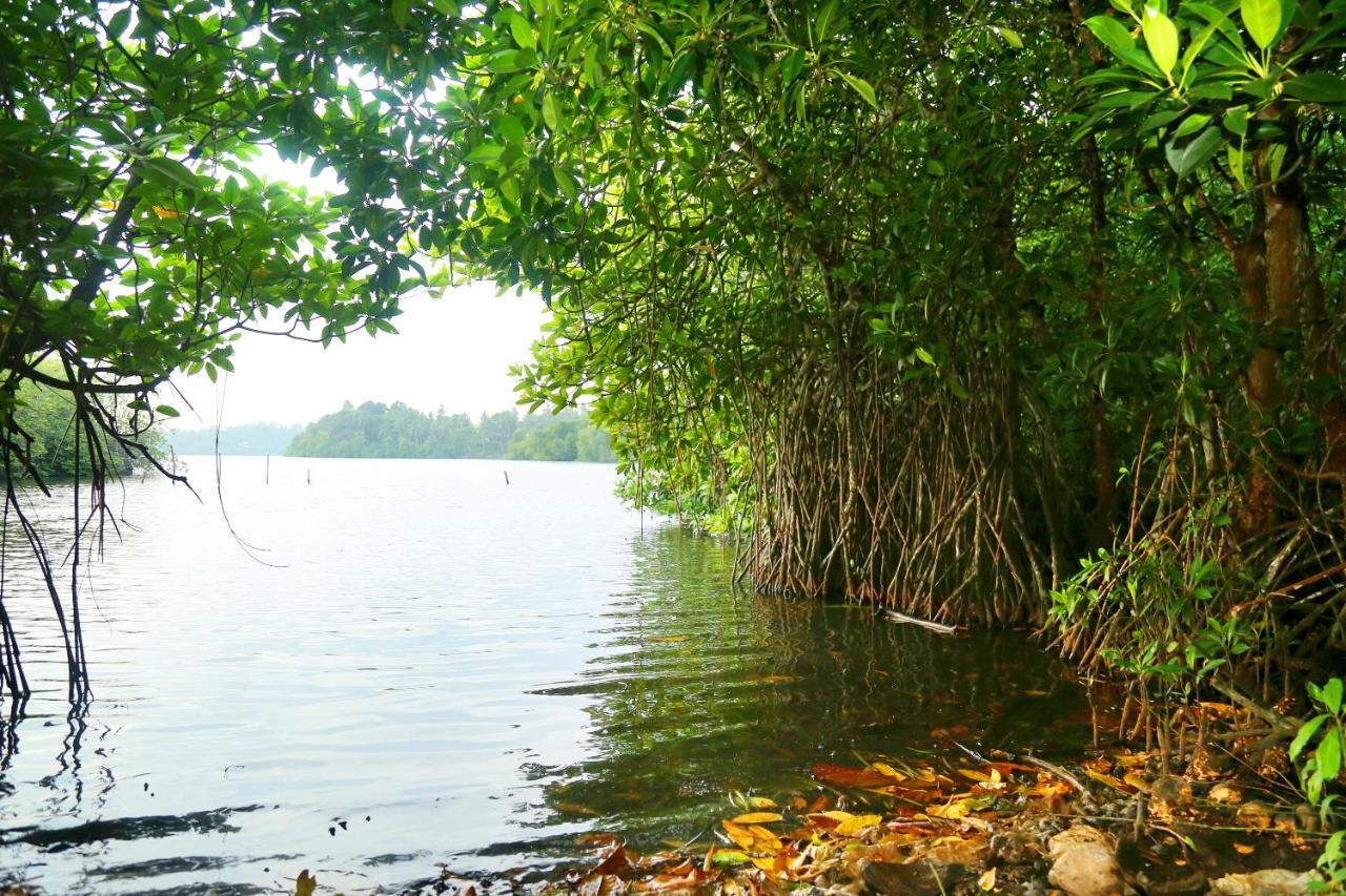 Global Lake Villa Hikkaduwa Eksteriør bilde