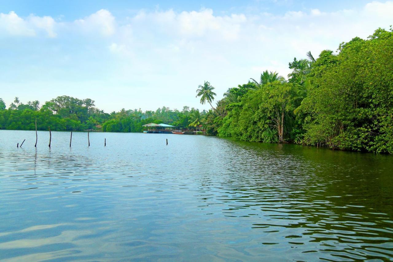 Global Lake Villa Hikkaduwa Eksteriør bilde